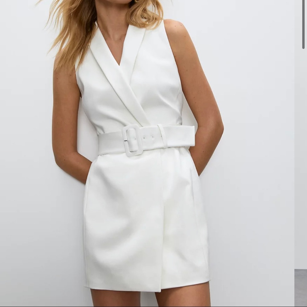 Aritzia Babaton Torino Blazer Dress